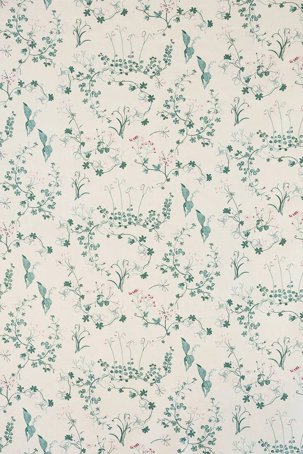 Ivory - Botanica - Premium Quality | Supply Showroom