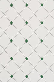 Green - WP