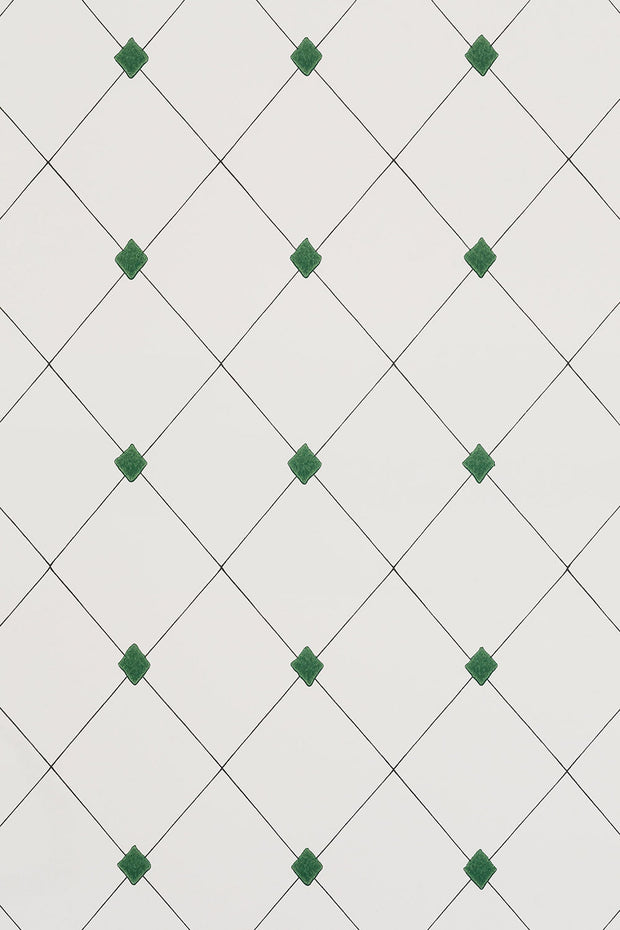 Green - WP