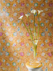 Antoinette - WP
