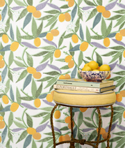 Sunrise Wallpaper – Kumquats Large | Luxury Clay Coat WP