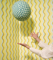 Lemon Little Zipper Wallpaper – Clay Coat | By Yard