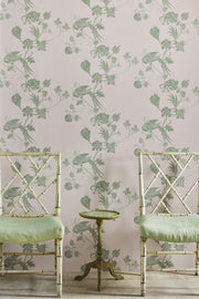 Plaster/Green - WP