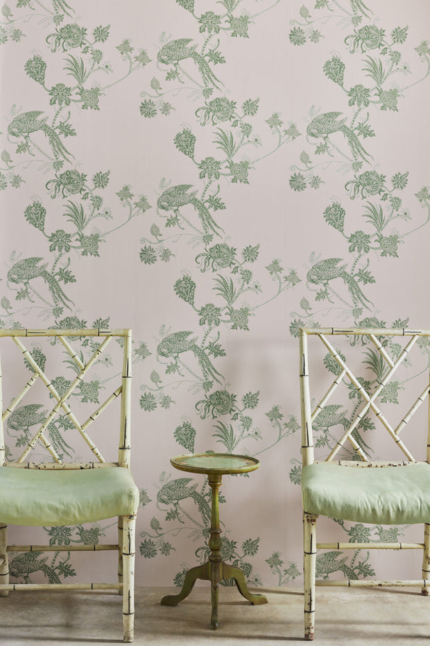 Plaster/Green - WP