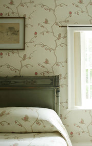 Parchment - English Robin - Premium Quality | Supply Showroom
