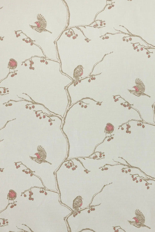 Parchment - English Robin - Premium Quality | Supply Showroom