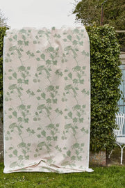 Plaster/Green - F