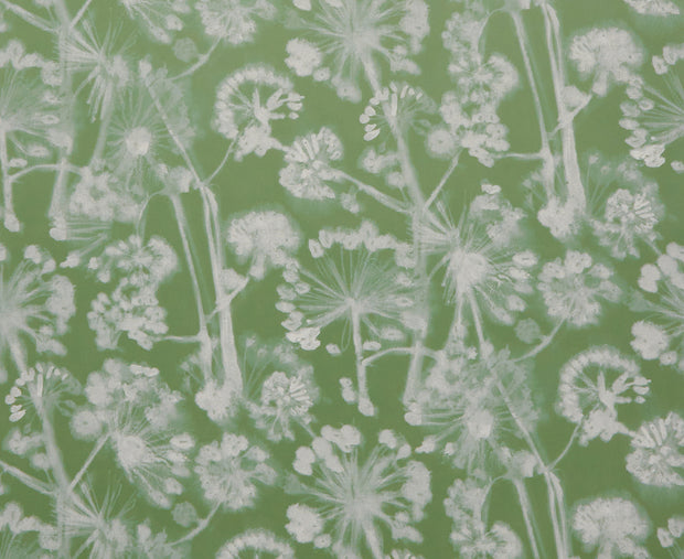 Green - WP