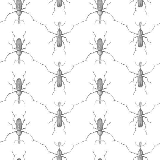 Men in Black - WP