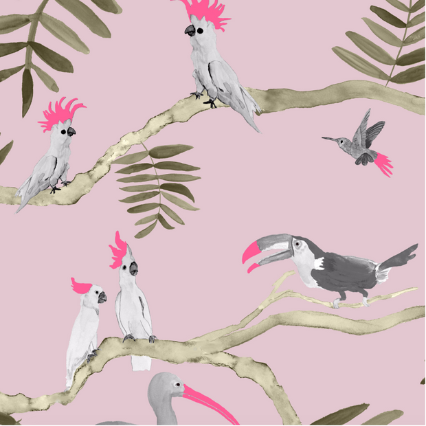 Pink & Gray Toucans on Light Pink - WP