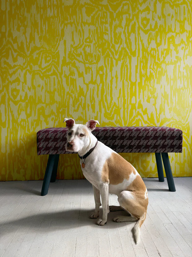 Twist Desi Wallpaper – Wide Performance Non-Woven Wallcovering