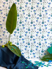 Blueberry - WP