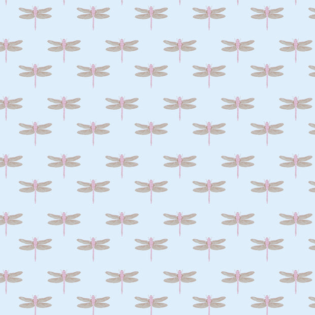 Light Blue - WP