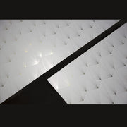 Gold + White - WP