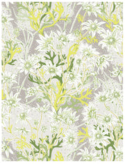 Lime - WP