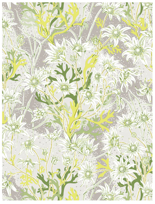 A section of wallpaper with a floral pattern featuring green, grey, and white colors, and a repeat size of 27.95 inches by 37. Lime Flannel Flower Wallpaper – Fresh Botanical Elegance | Sold by Yard