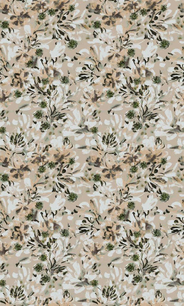 Olive - WP