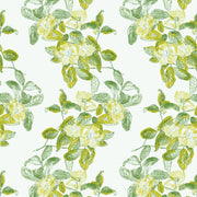 A wallpaper with a green and white floral pattern featuring lime green flowers and green leaves on a white background.