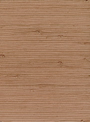 Terracotta - WP