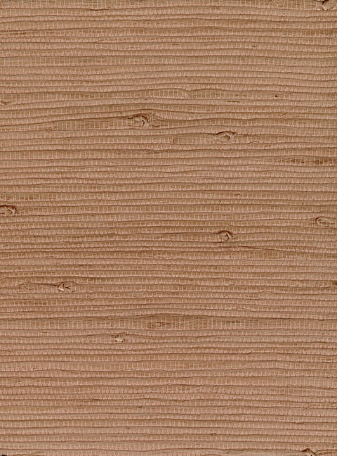 Terracotta - WP