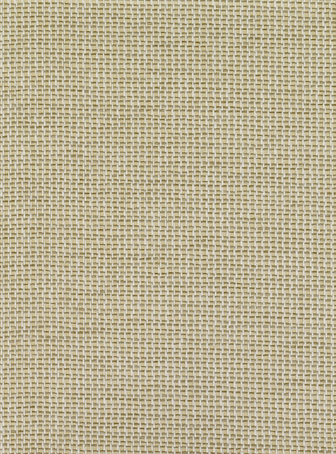 Marzipan - Paperweave Wallpaper - Premium Quality | Supply Showroom