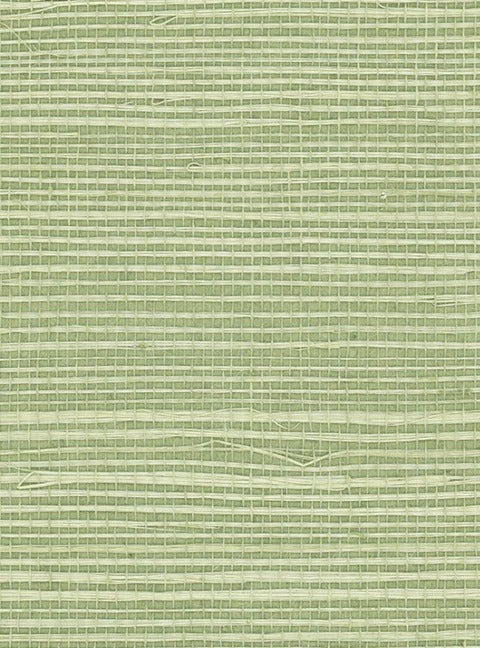 Fennel - WP