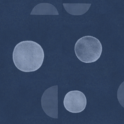 Blue Moon - WP