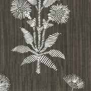 Charcoal - WP