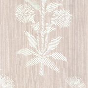 Dusty Pink - WP