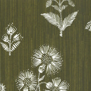 Olive - WP