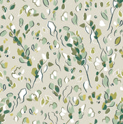 Fern - WP