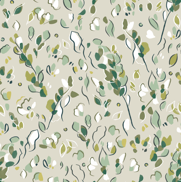 Fern - WP