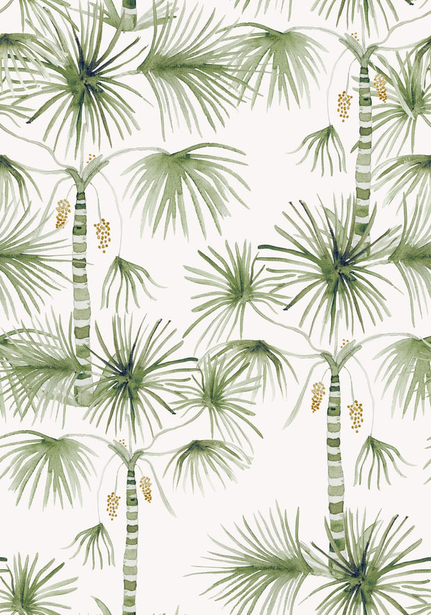 Green & Orange - Wallpaper - Palma - Premium Quality | Supply Showroom