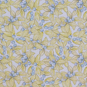 Chicory - F