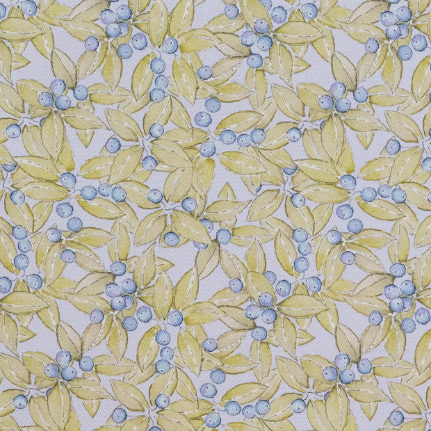 Chicory - F