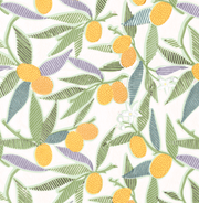 Sunrise Wallpaper – Kumquats Large | Luxury Clay Coat WP