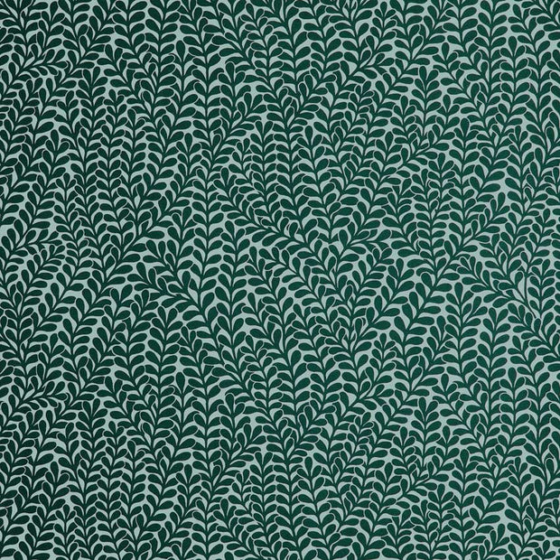 Seagrass - WP