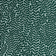 Seagrass - WP