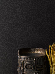 Night Grasscloth - WP