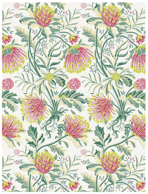 Matchstick Banksia Wallpaper – Pink | Elegant Botanical Wall Design