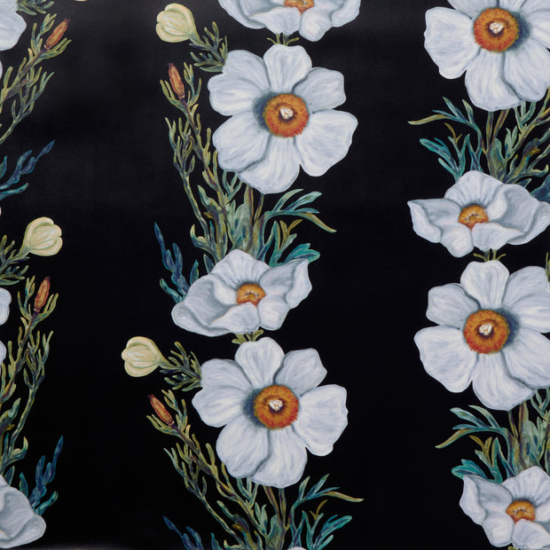A section of wallpaper with a floral pattern featuring mainly white flowers and green leaves on a black background   - Black Ojai Matilija Wallpaper – 27" Wide, 27" x 29" Repeat, by Yard