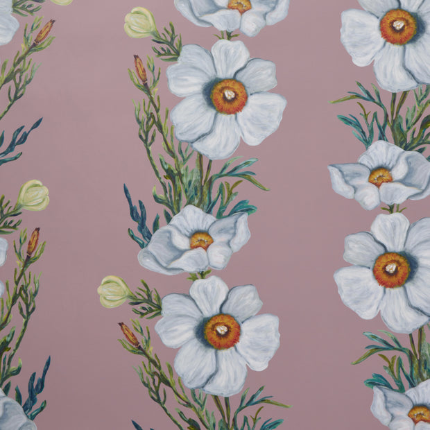 A section of wallpaper with a floral pattern featuring predominantly white flowers and green leaves on a pink background - Blush Ojai Matilija Wallpaper – 27" Wide, 27" x 29" Repeat, by Yard