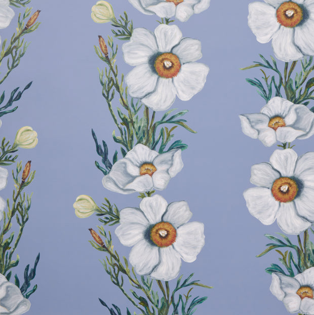 Cornflower Blue Ojai Matilija Wallpaper – Botanical Floral Design - Cornflower Blue Ojai Matilija Wallpaper – Botanical Floral Design