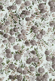Peony Parade Gray Wallpaper – Modern Floral Double Roll