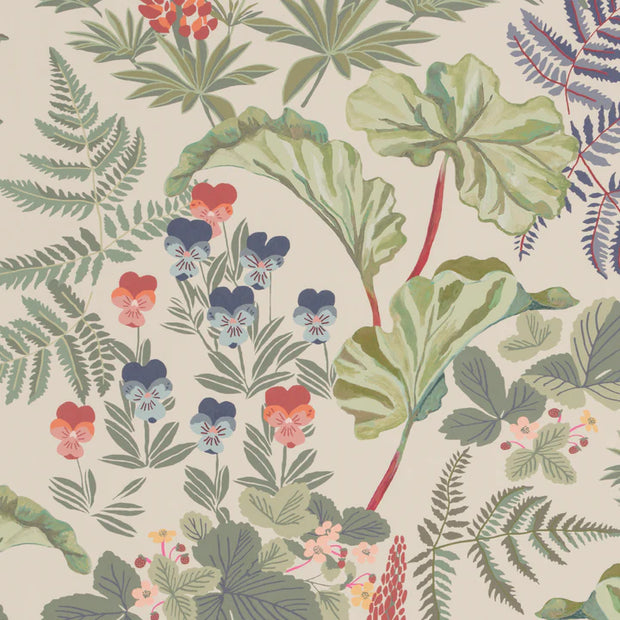 Olive - WP