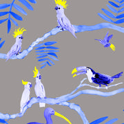Blue & Yellow Toucans on Grey - WP
