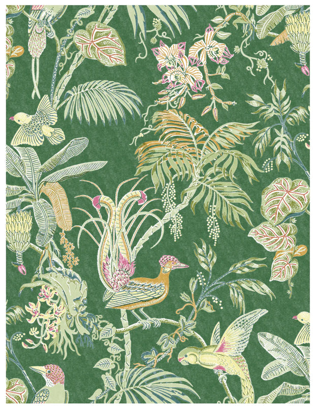 A section of wallpaper with a green background featuring a floral pattern with birds and tropical leaves. Paradise Wallpaper – Green | Tropical Botanical Wall Covering by Yard