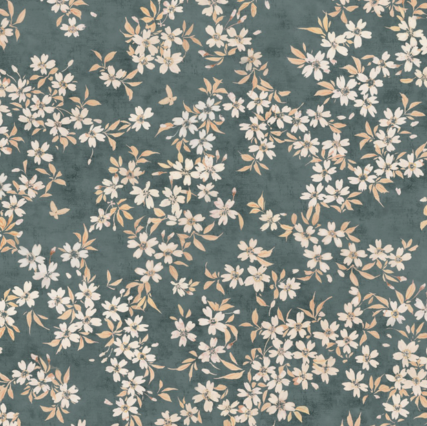 A wallpaper with a floral pattern featuring cherry blossoms in beige and navy colors on a darker background - Petrol Wallpaper | Cherry Blossom, 27" Width, Half Drop, Sold by Yard