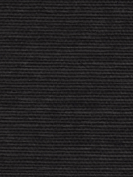 Pitch - WP