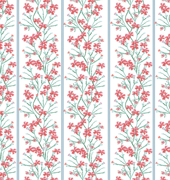 Red Blue - WP